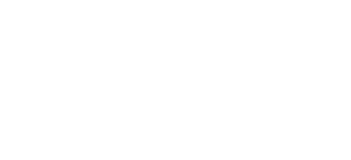 Hans Bui